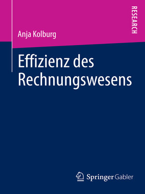 cover image of Effizienz des Rechnungswesens